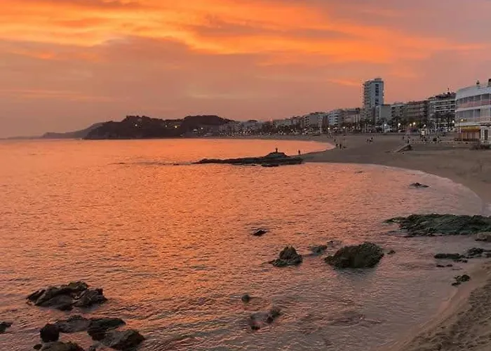 Vista Al Mar Zodiac Ab 3a * 료렛 드 마르