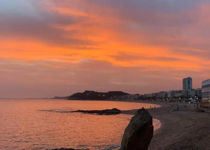 Vista Al Mar Zodiac Ab 3a *